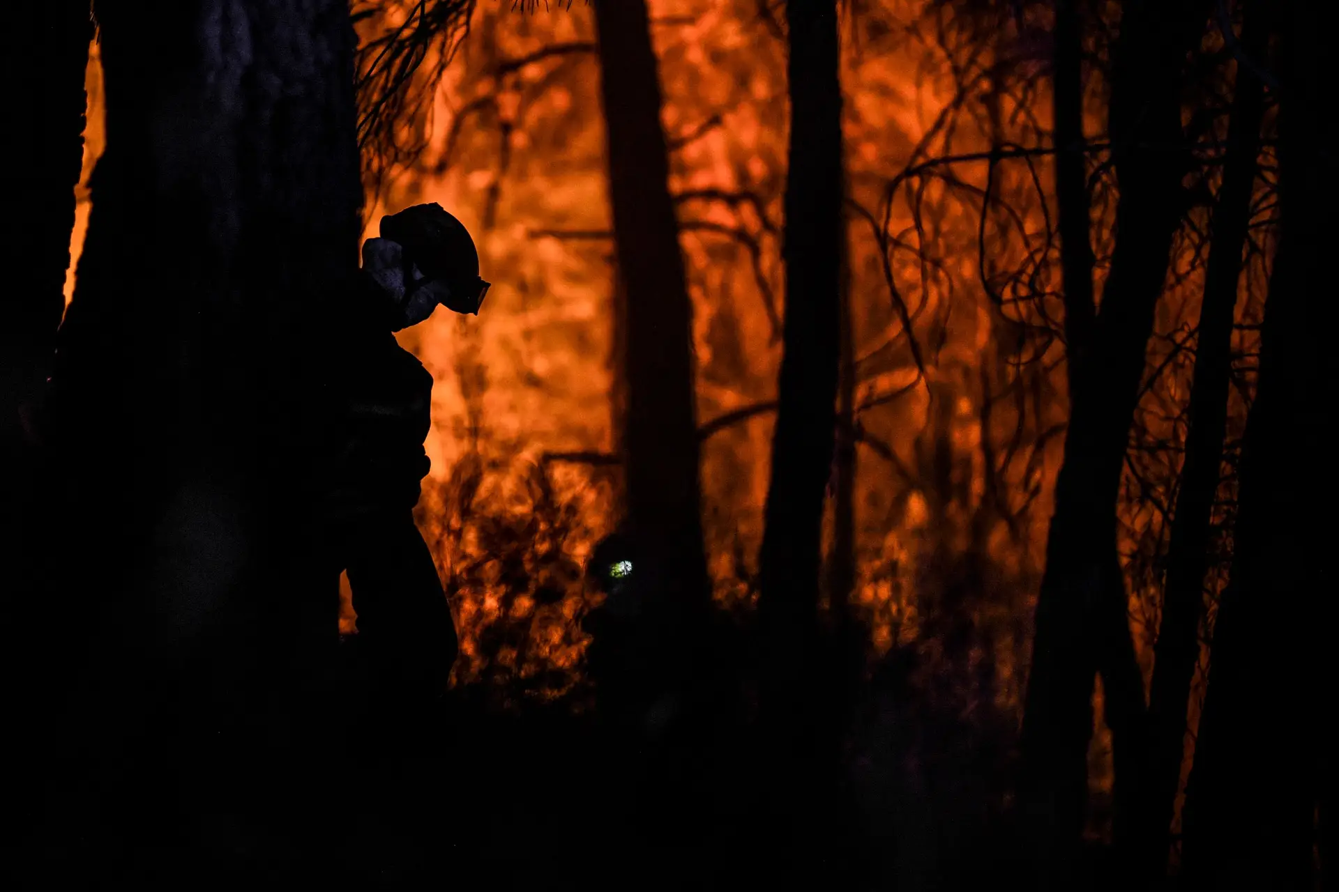 Incêndio nas Caldas da Rainha destruiu mais de 600 hectares
