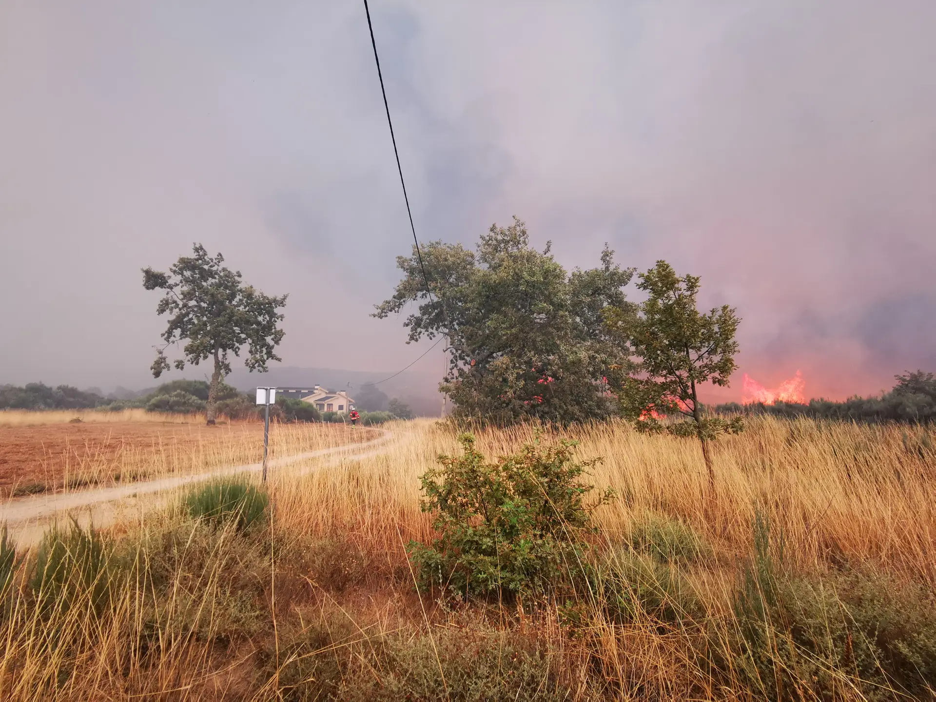 Incêndio em Vila Real já consumiu 4.000 hectares de terreno