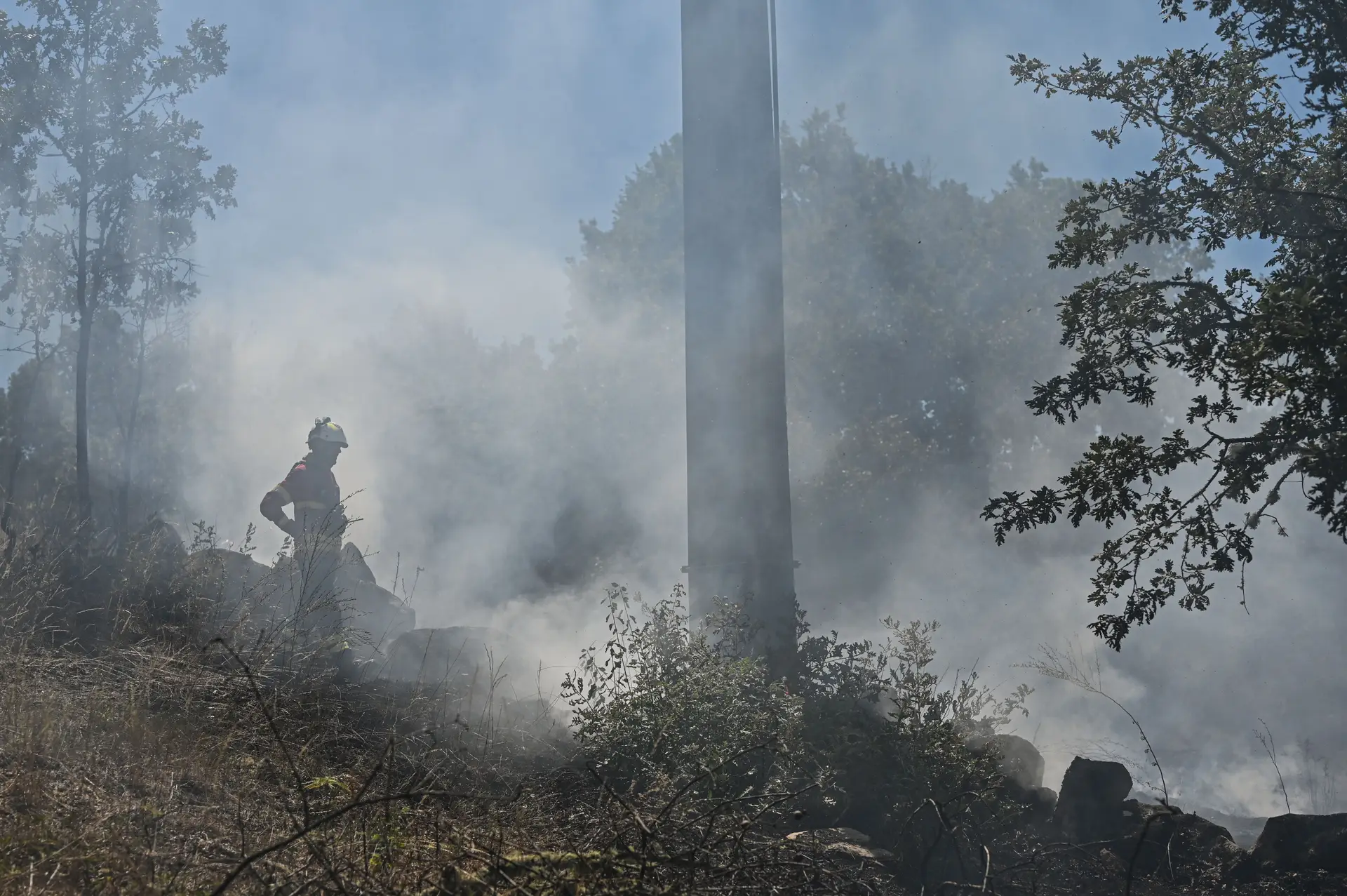 Homem detido por ter provocado incêndio em Ovar fica sujeito a acompanhamento psiquiátrico