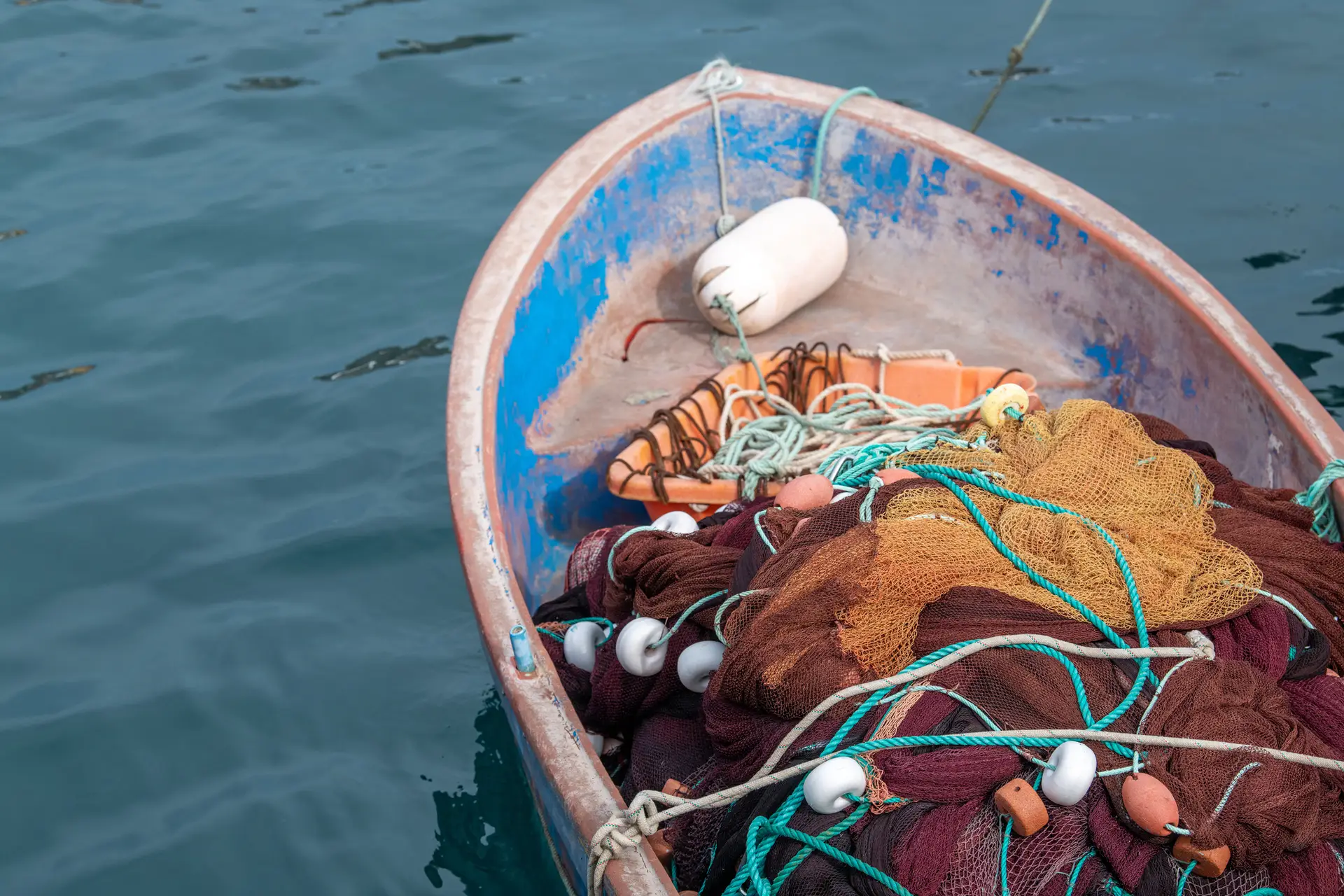 Proibida a pesca abaixo dos 400 metros em zonas vulneráveis, incluindo em Portugal