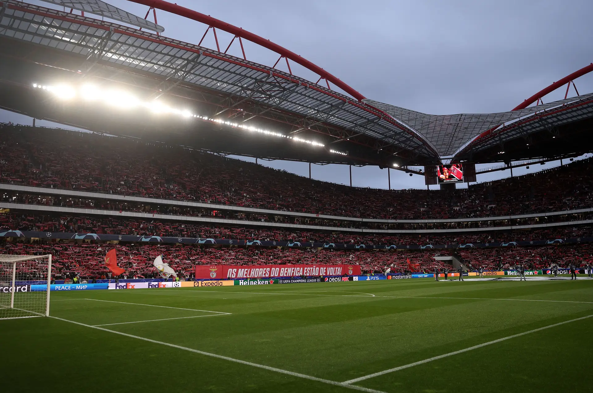Detido adepto do Benfica suspeito de esfaquear outro adepto na Luz