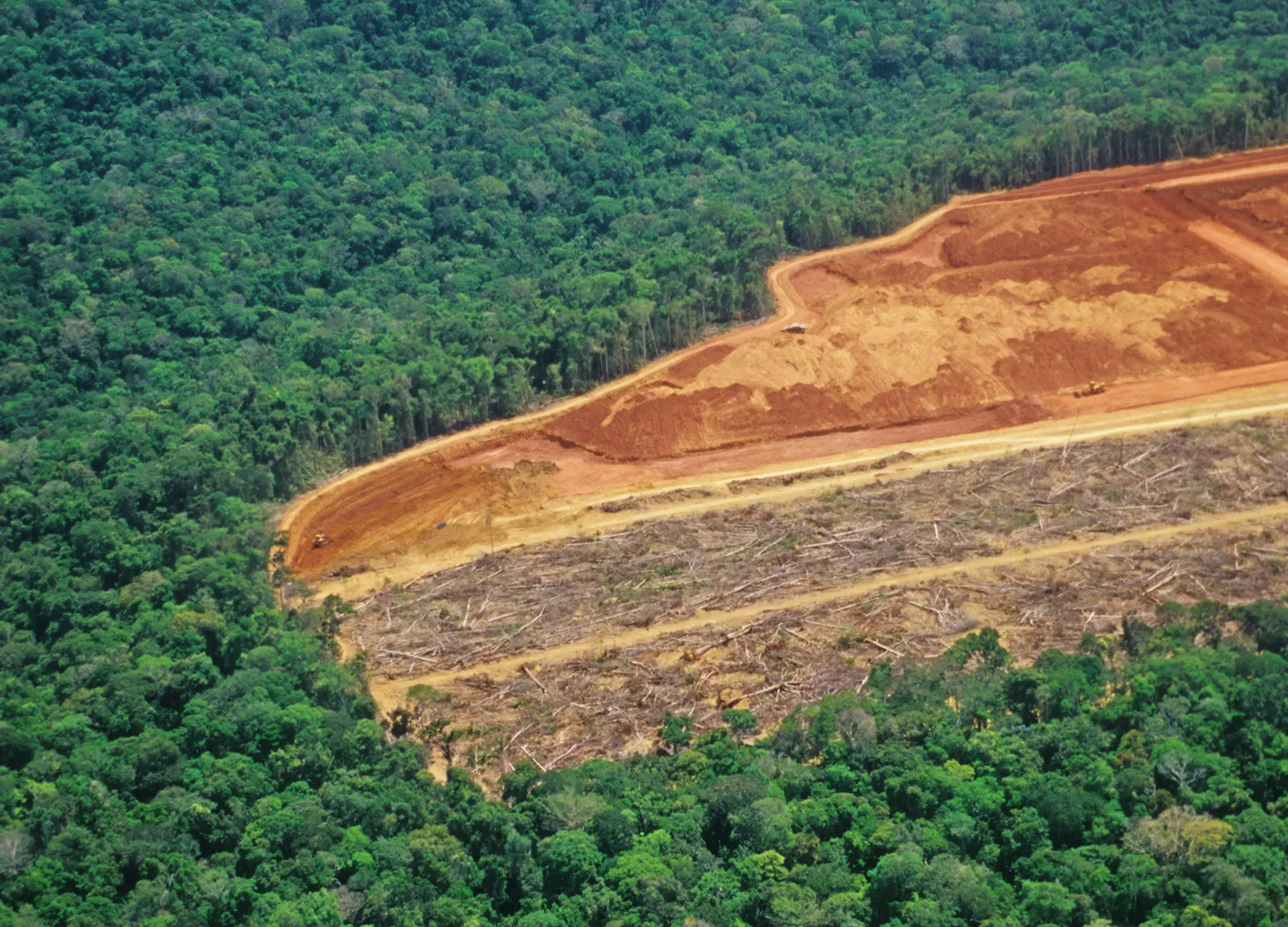Brasil perdeu 13,1% de vegetação nativa nos últimos 37 anos