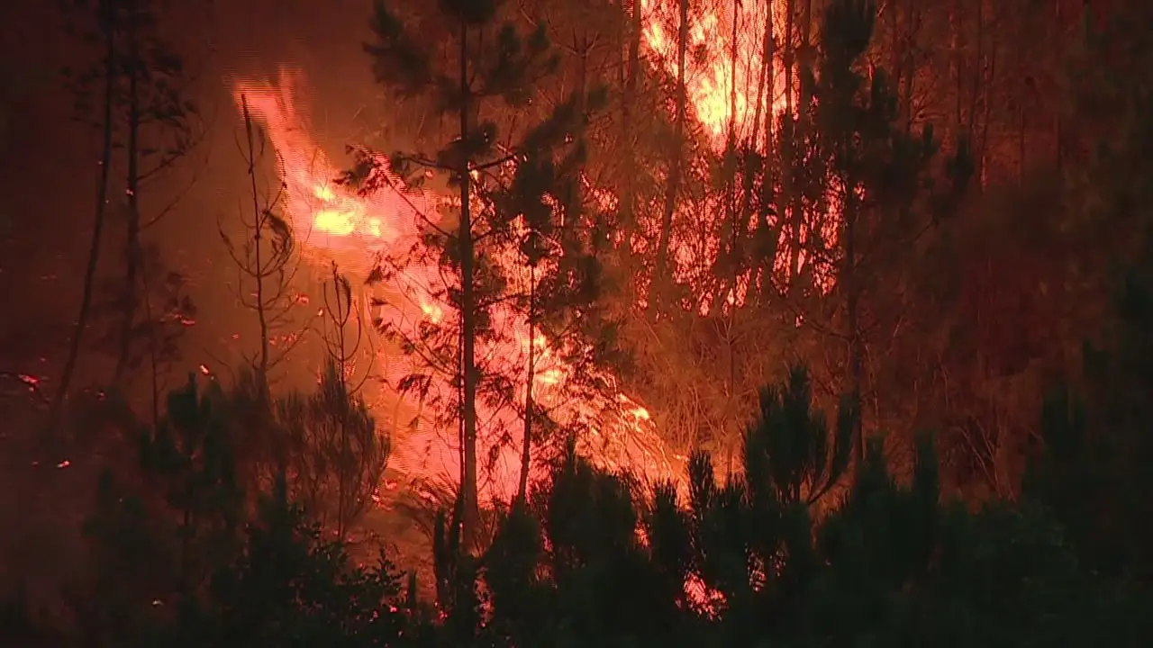 Incêndios: centenas de bombeiros reforçam áreas de maior risco
