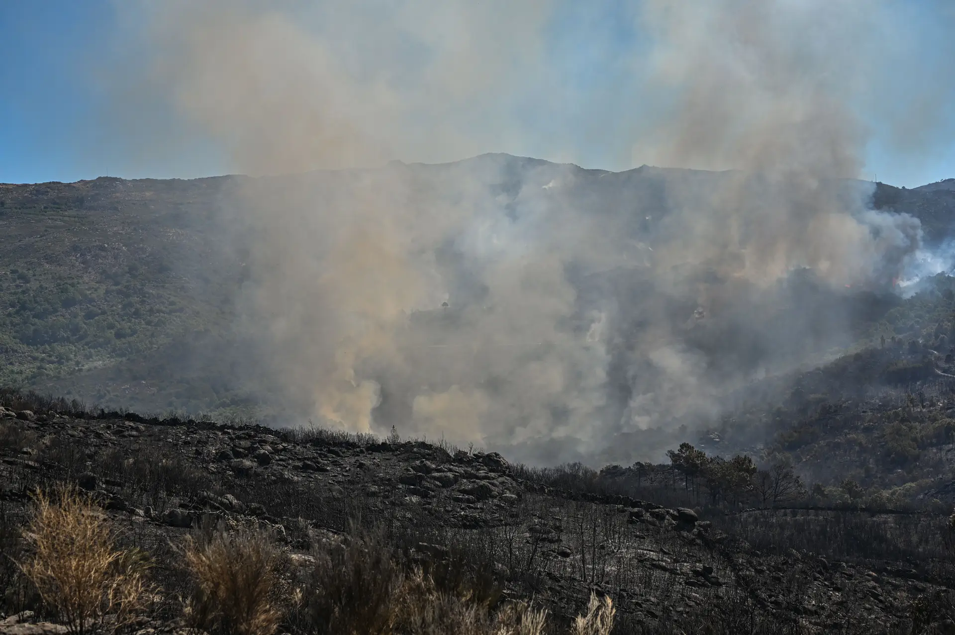 Incêndio em Carrazeda de Ansiães entra em fase de conclusão