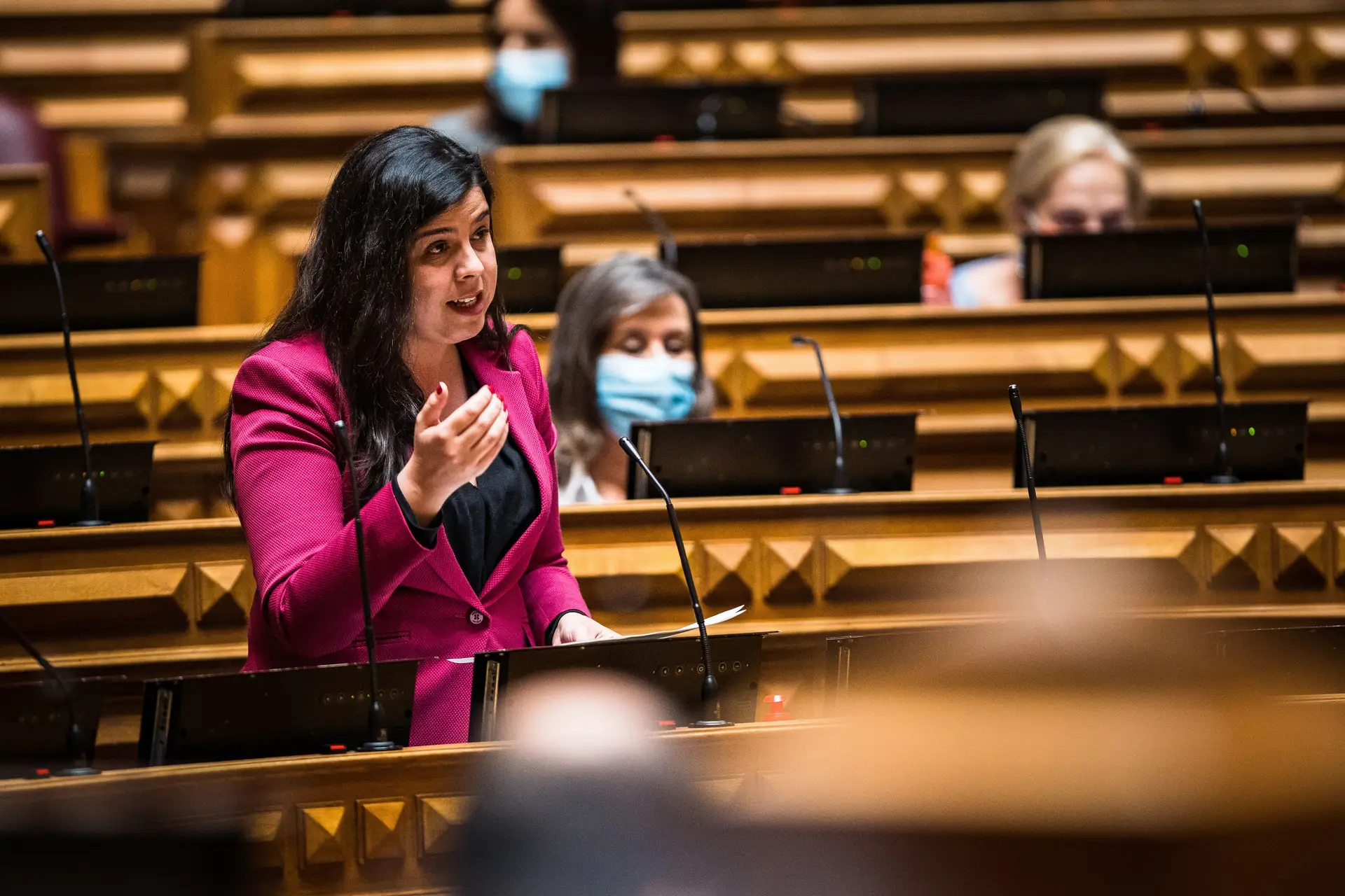 Inês de Sousa Real é recandidata à liderança do PAN