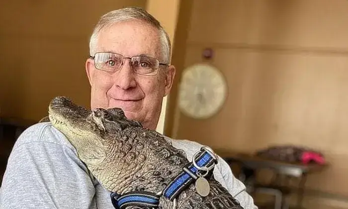 Depois dos cães e dos gatos, chegou o jacaré de “apoio emocional”