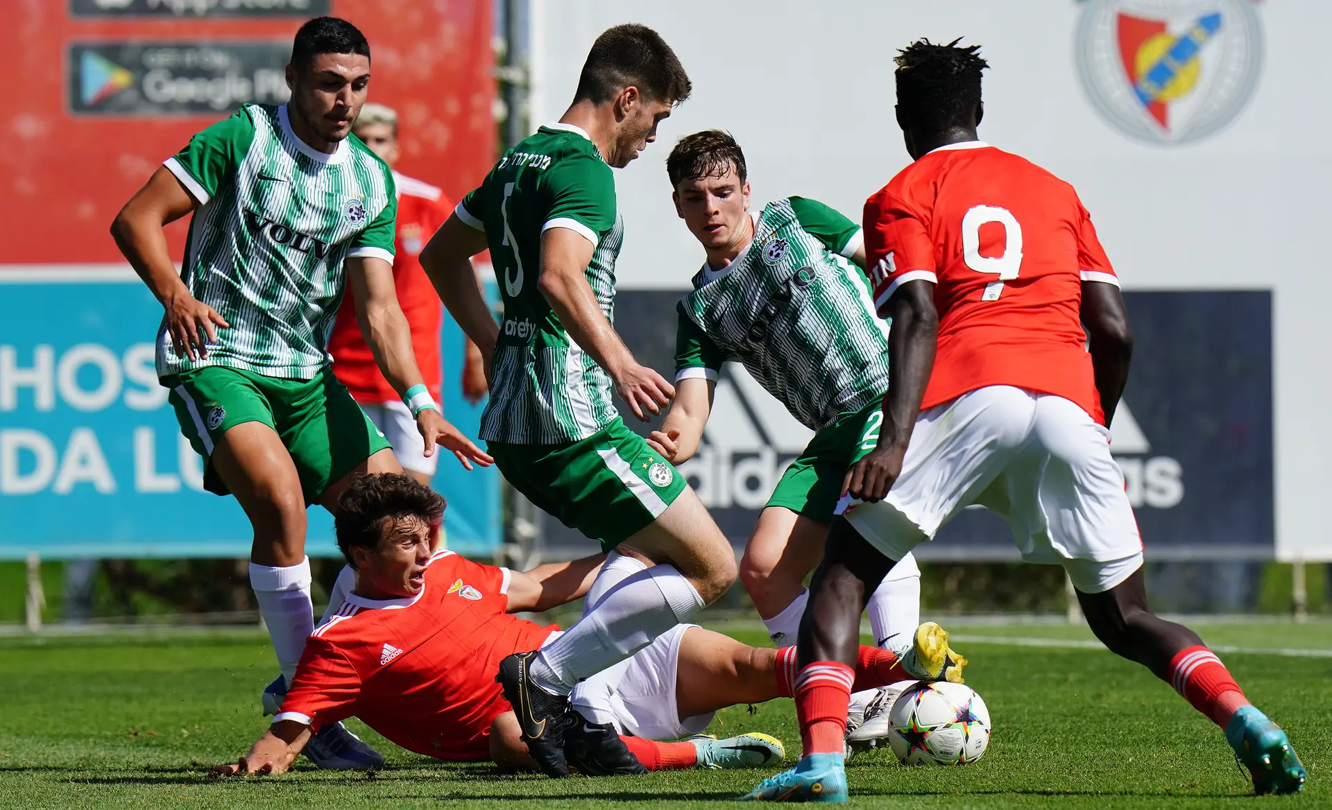 Benfica perde com Maccabi Haifa na estreia na UEFA Youth League