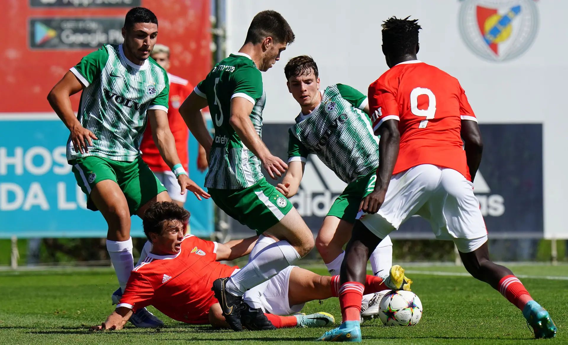 Benfica perde com Maccabi Haifa na estreia na UEFA Youth League