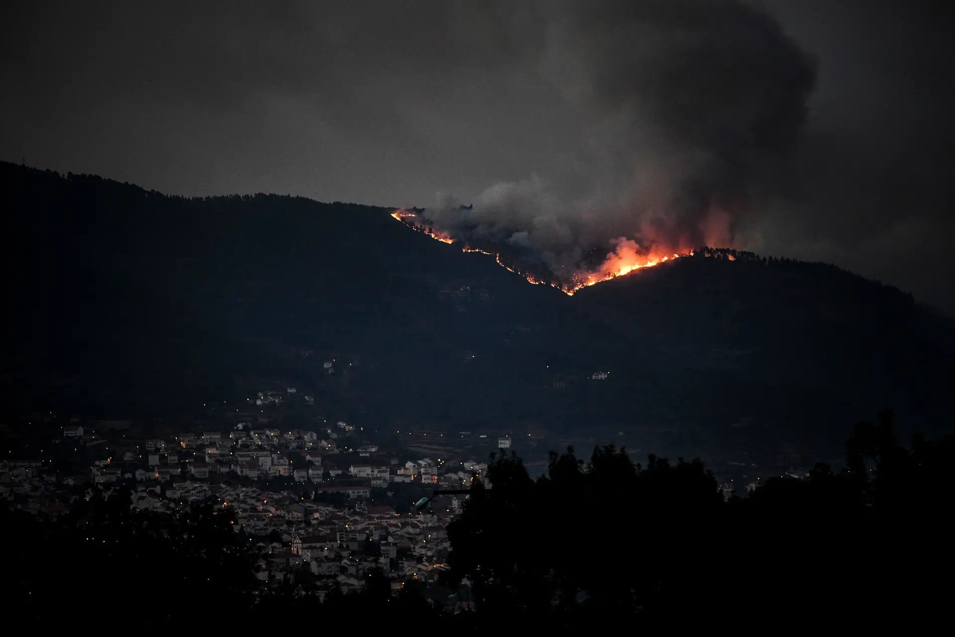 Rewilding Portugal apresenta propostas para recuperação da Serra da Estrela
