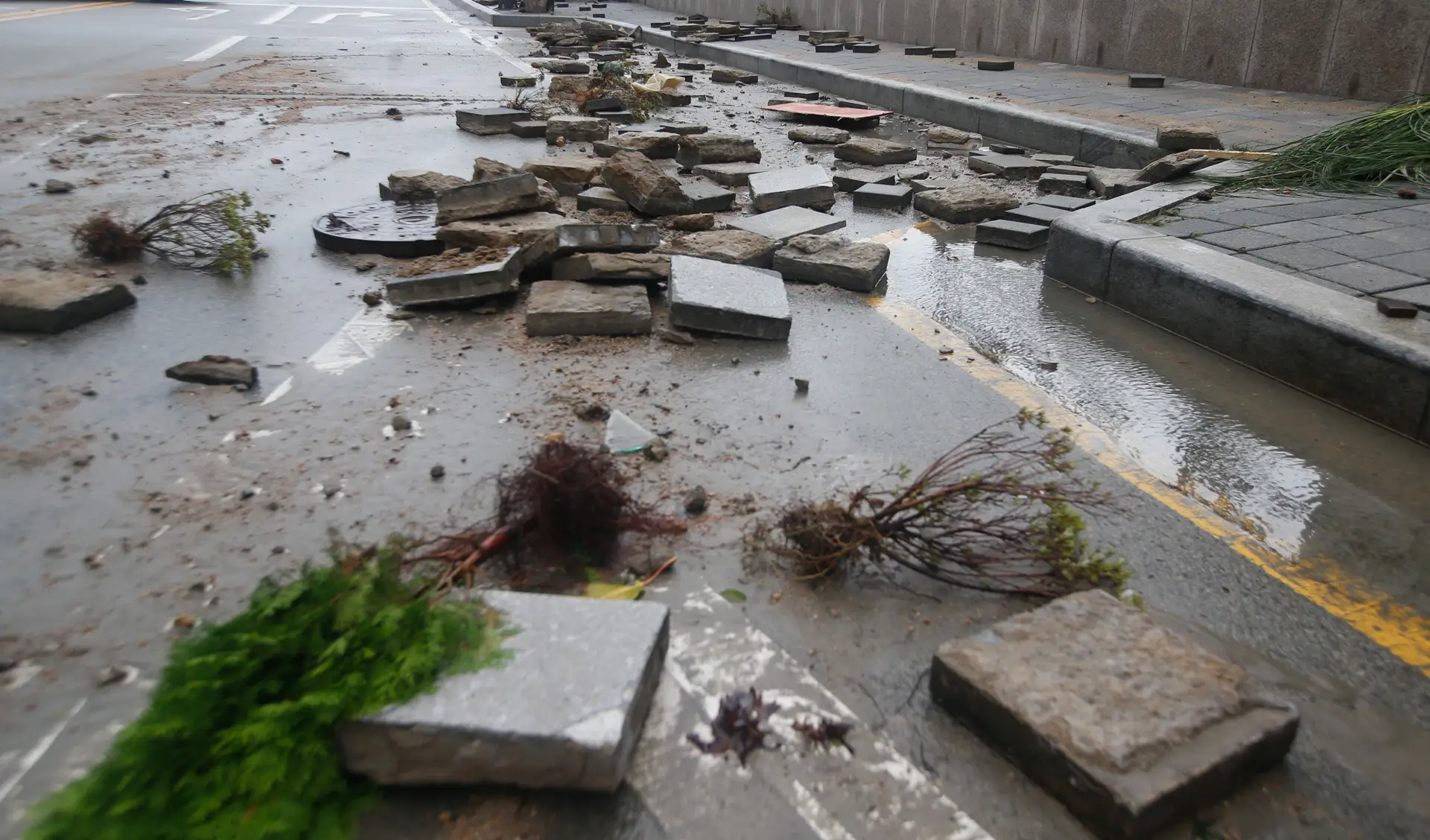 O rasto de destruição deixado pelo tufão Hinnamor na Coreia do Sul