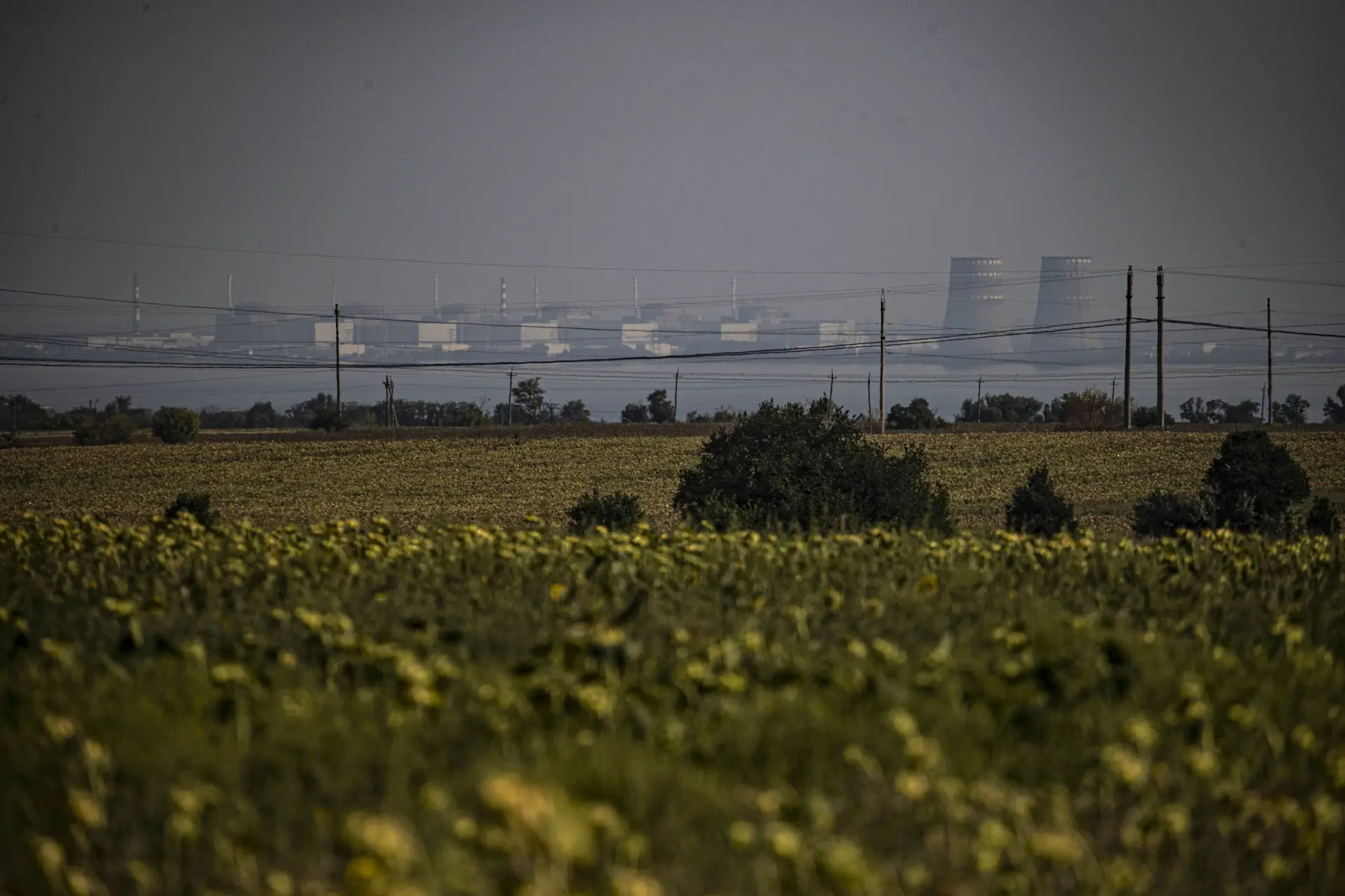 "Situação é insustentável" na central de Zaporijia: AIEA exige criação de “zona de segurança”