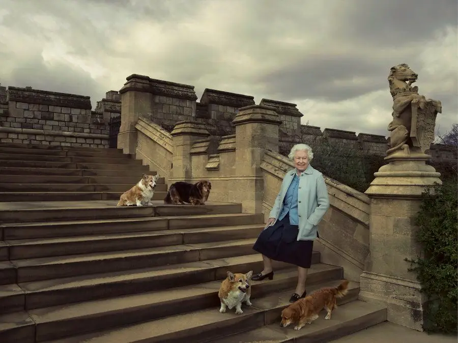 Já se sabe quem vai ficar com os cães Corgi da Rainha Isabel II