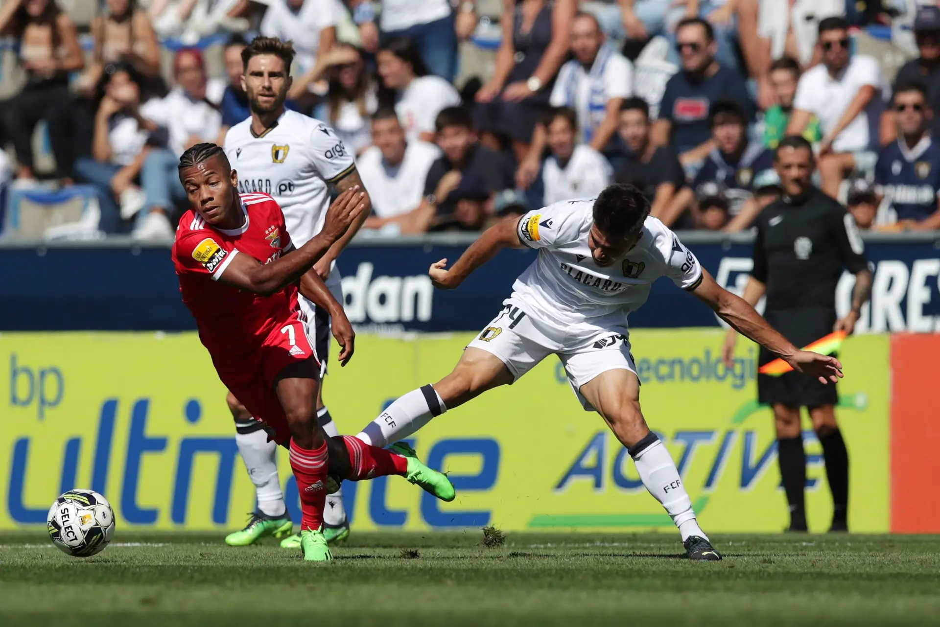 FC Famalicão x Benfica: Não temos medo diz o treinador João