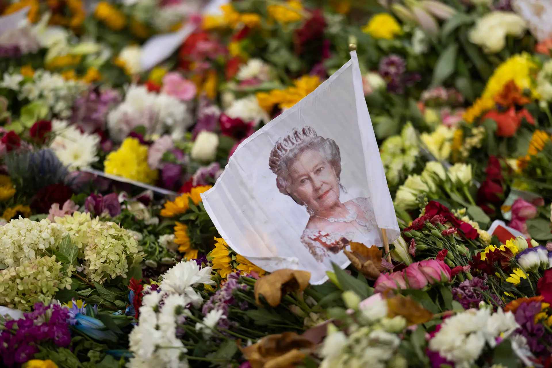 Portugueses no Reino Unido "mais preocupados com custo de vida" do que com morte da Rainha