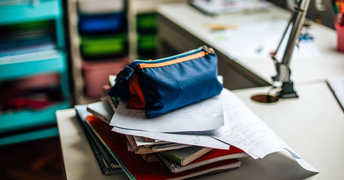 Alunos de Torres Vedras criam robô humanóide: 'Arttech' nasceu para ensinar sobre cultura e arte