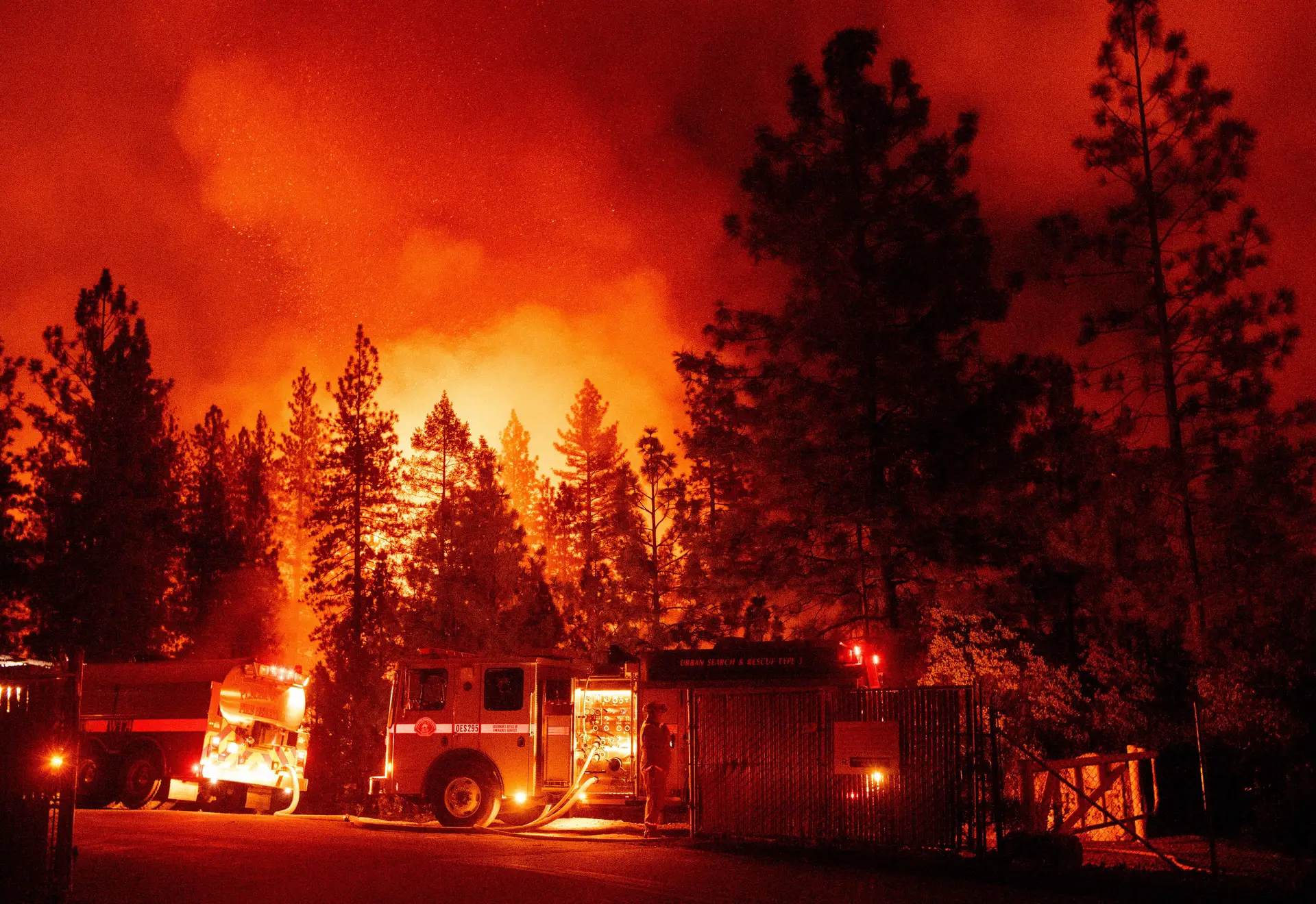 Incêndios na Califórnia já queimaram mais de 177 quilómetros de hectares