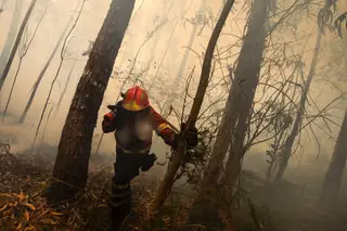 Mais de 30 concelhos em perigo máximo de incêndio