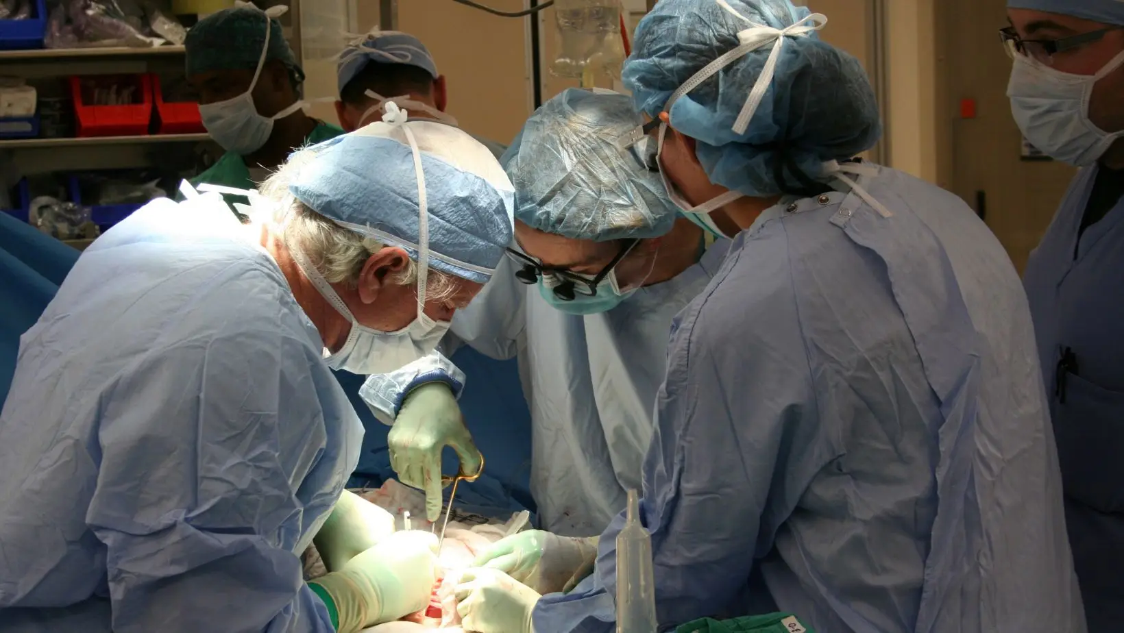 Primeiro transplante de fígado em Portugal foi há 30 anos