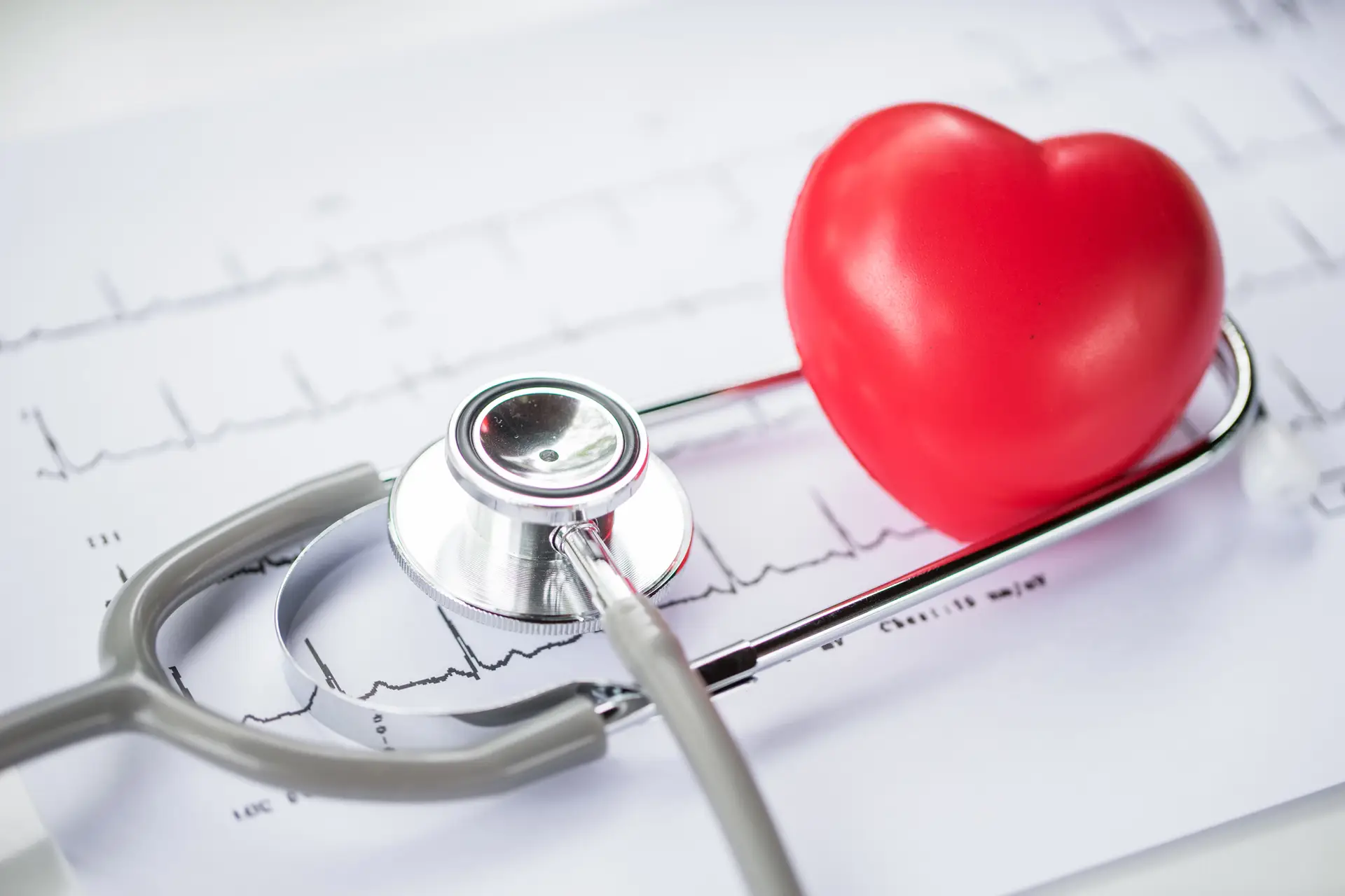 Investigadores portugueses estudam nova terapia para hipertensão arterial pulmonar