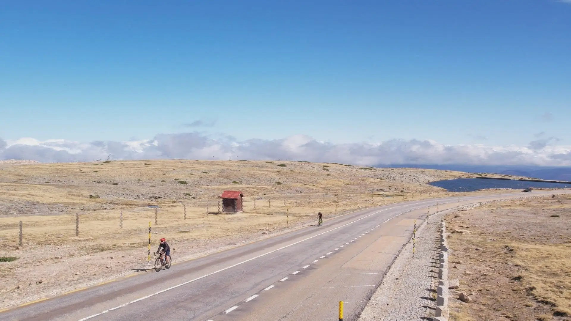 Aquecimento global tem impacto nos arbustos e pastagens da Serra da Estrela
