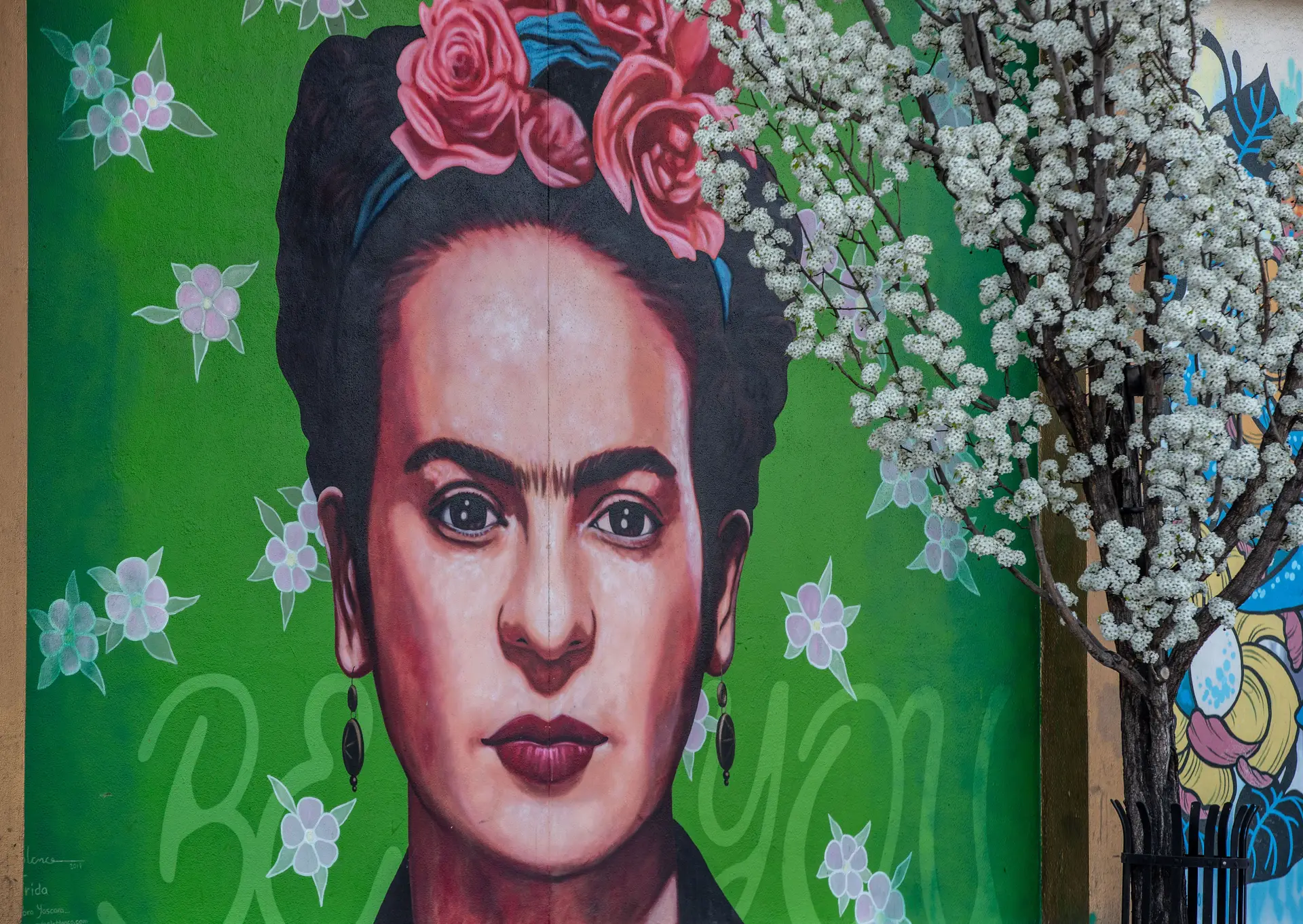Frida Kahlo.