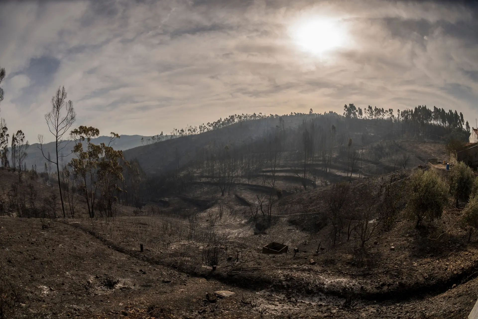 Patrulhas de vigilância aos incêndios já percorreram o equivalente a 7,5 voltas ao mundo