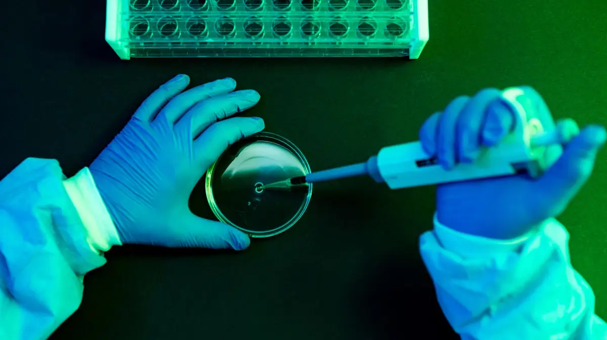 Laboratório