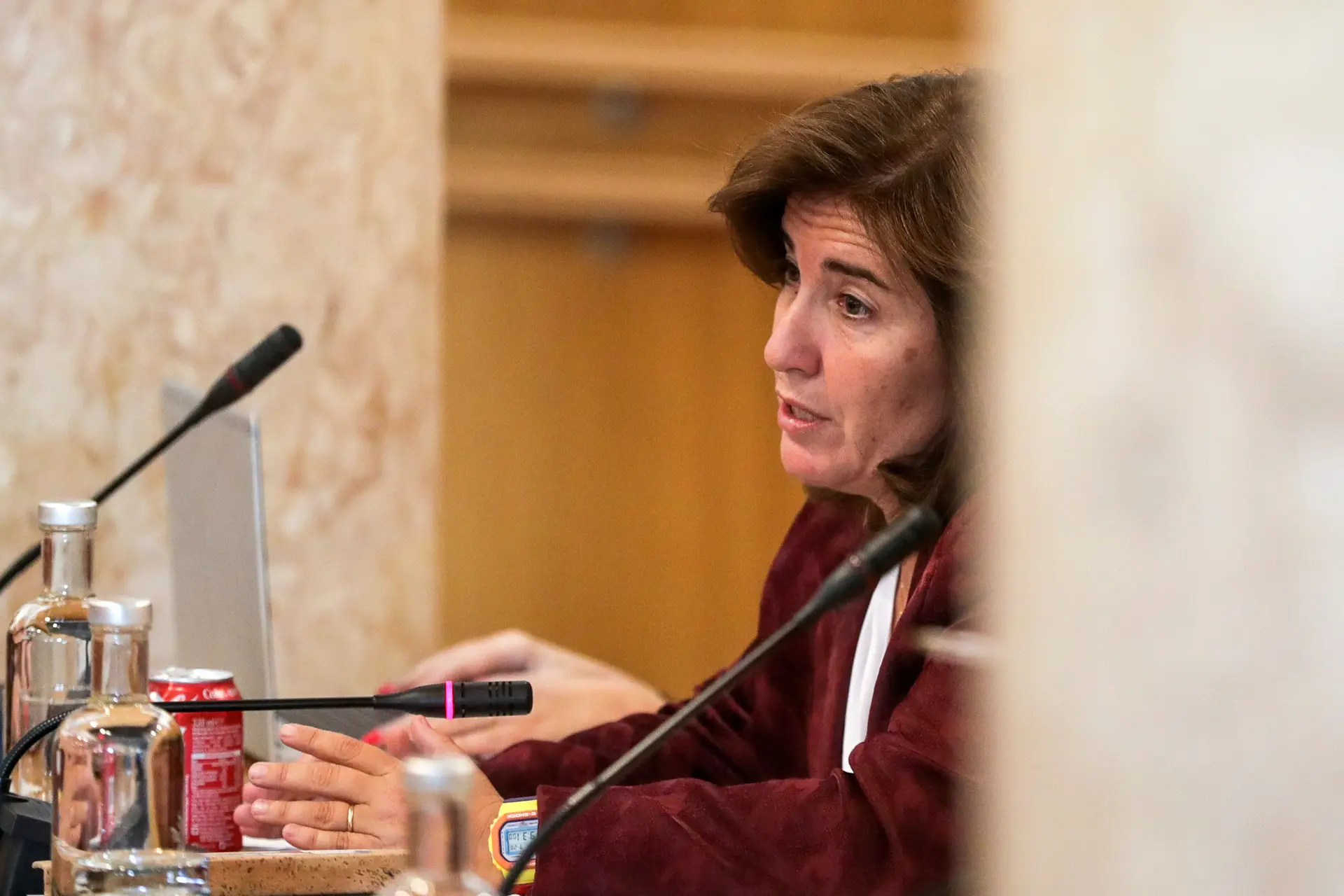 PSD quer ouvir no Parlamento a ministra do Trabalho e ex-provedor da Santa Casa