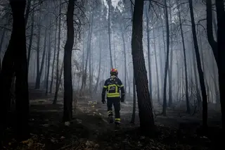 O balanço da época mais crítica de incêndios em Portugal este ano