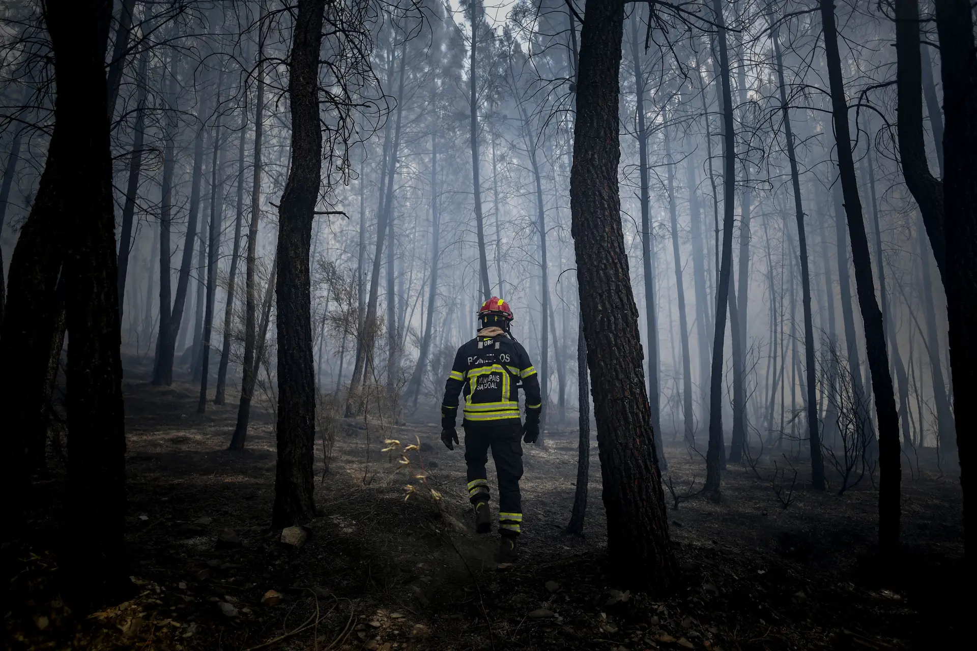 Cerca de 50 concelhos em risco muito elevado de incêndio