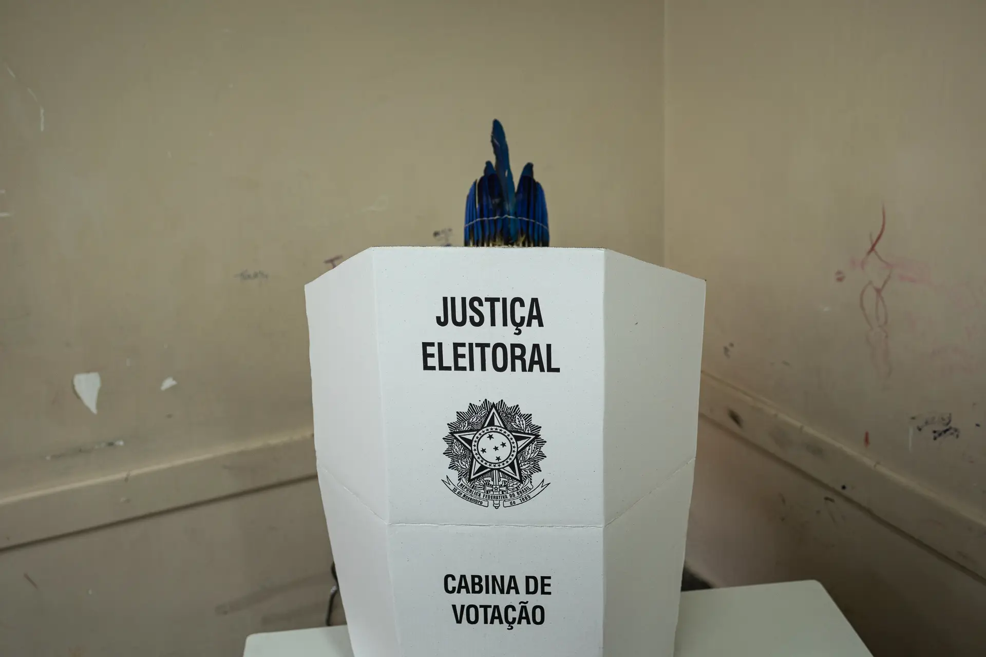 Observadores falam em votação "tranquila" no Brasil