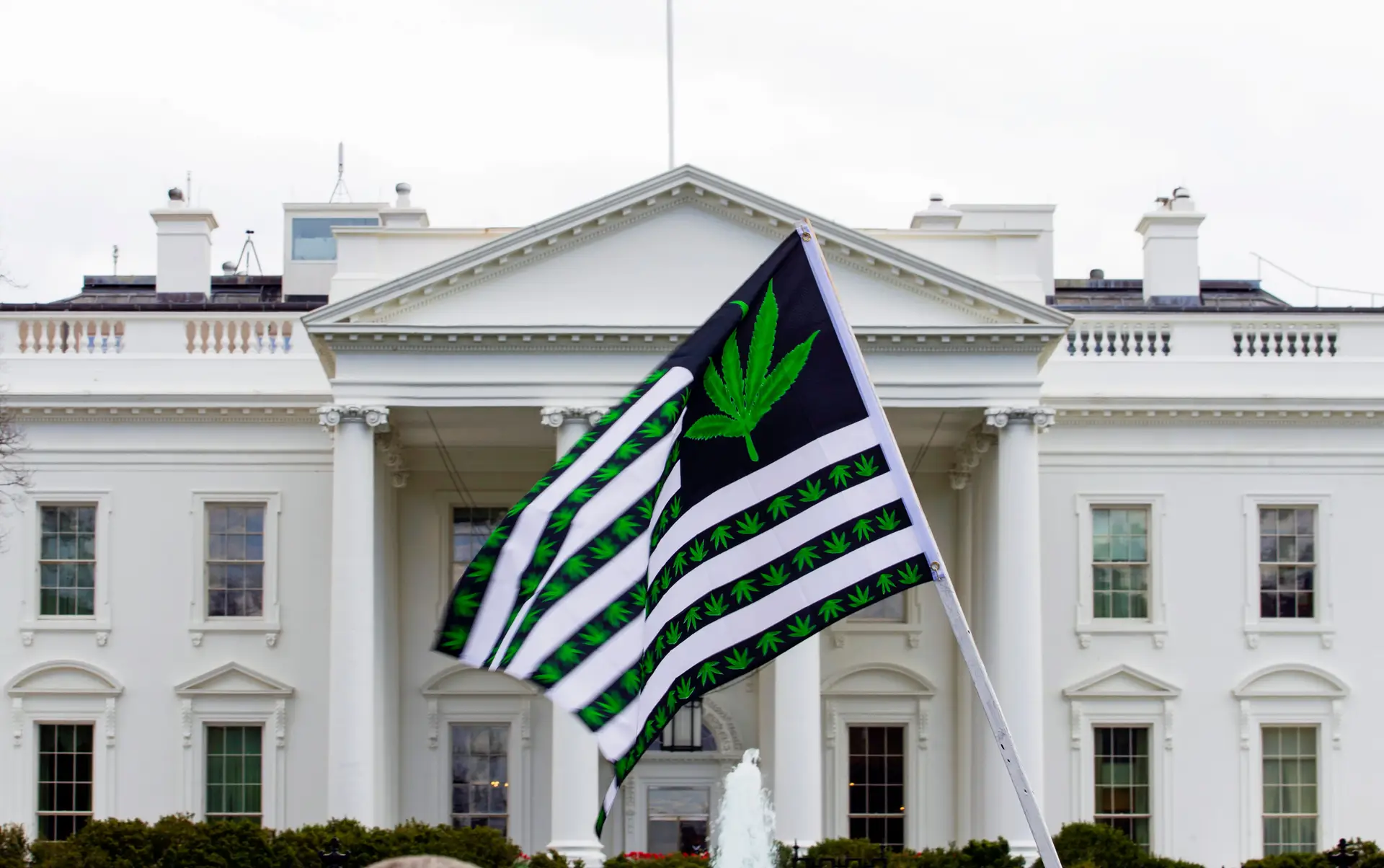 EUA a caminho da descriminalização da marijuana? Biden perdoa milhares de condenados