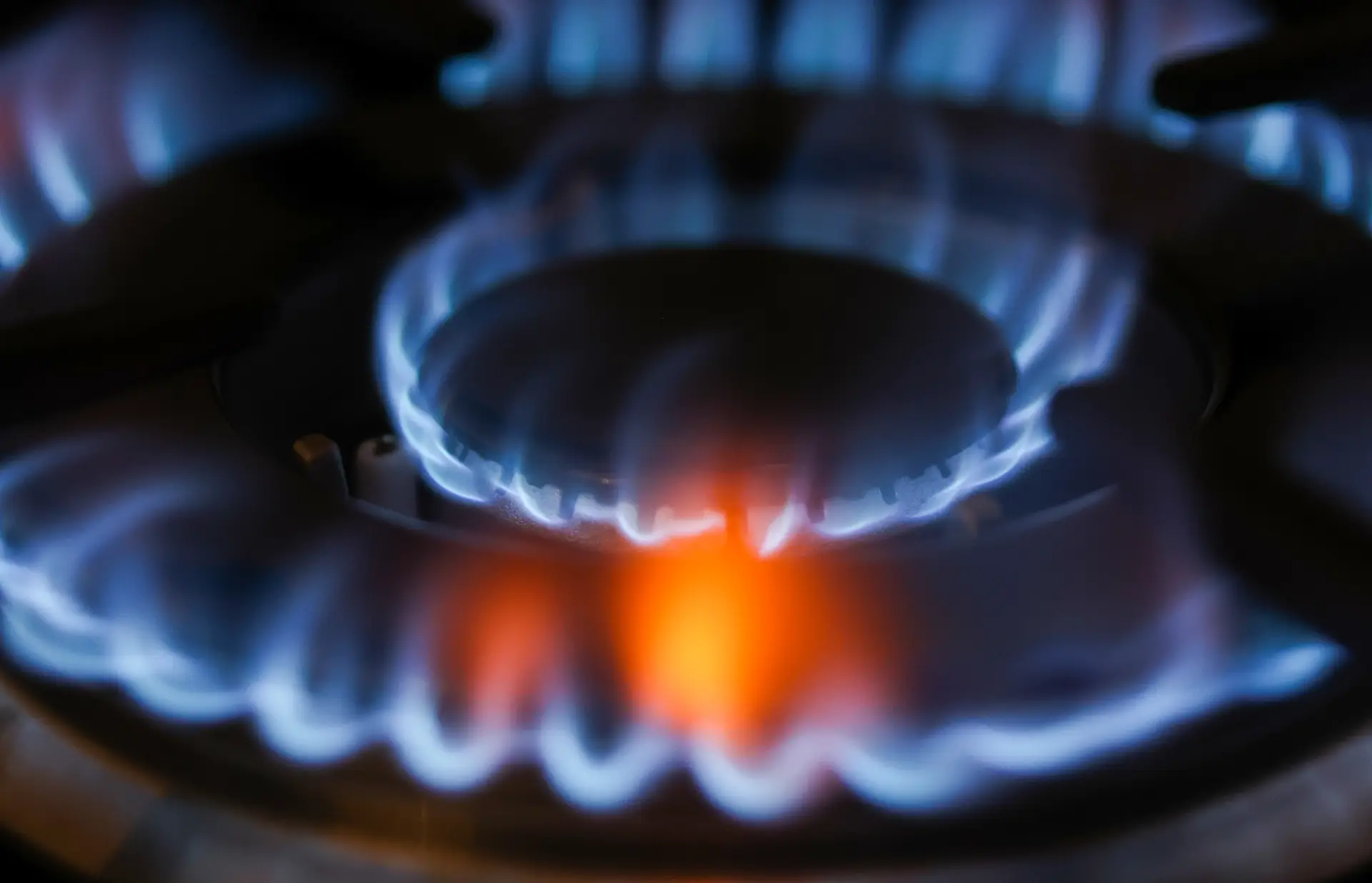 Mudança online já disponível para todas as empresas no mercado regulado de gás