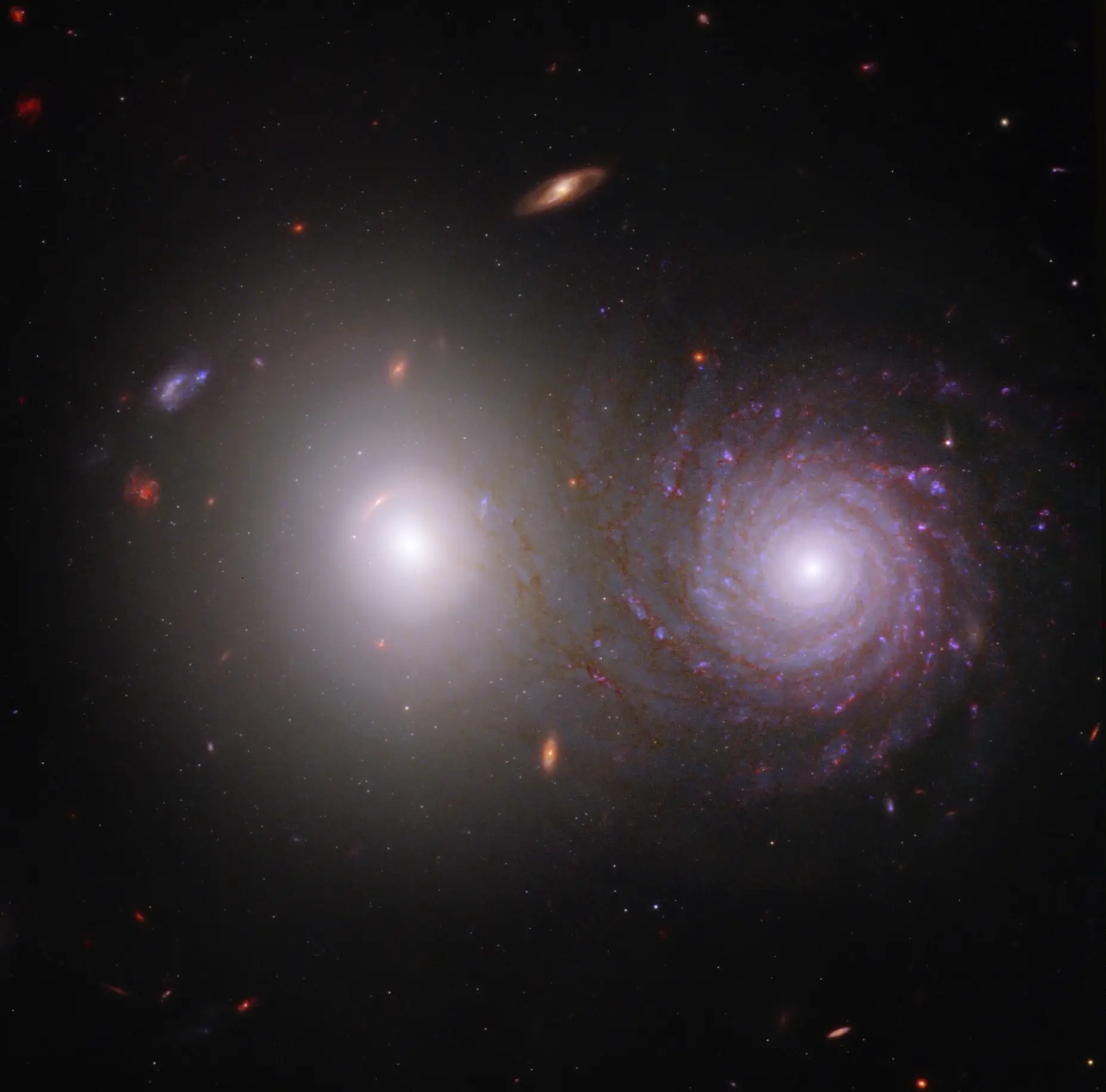 A combinação de dados recolhidos pelos telescópios espaciais James Webb e Hubble resulta numa espectacular imagem do par de galáxias VV 191. A luz infravermelha próxima do Webb e a luz ultravioleta e visível do Hubble permitem aos astrónomos ver a luz emitida pela grande galáxia elíptica branca à esquerda através da galáxia espiral à direita e identificar os efeitos das poeiras interestelares na galáxia espiral.