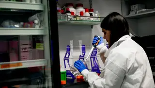 Investigação do cancro: sem profissionalização Portugal não dará o salto