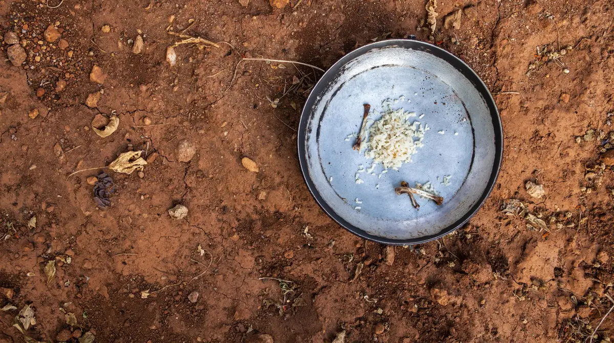 Prato com arroz a ossos de frango