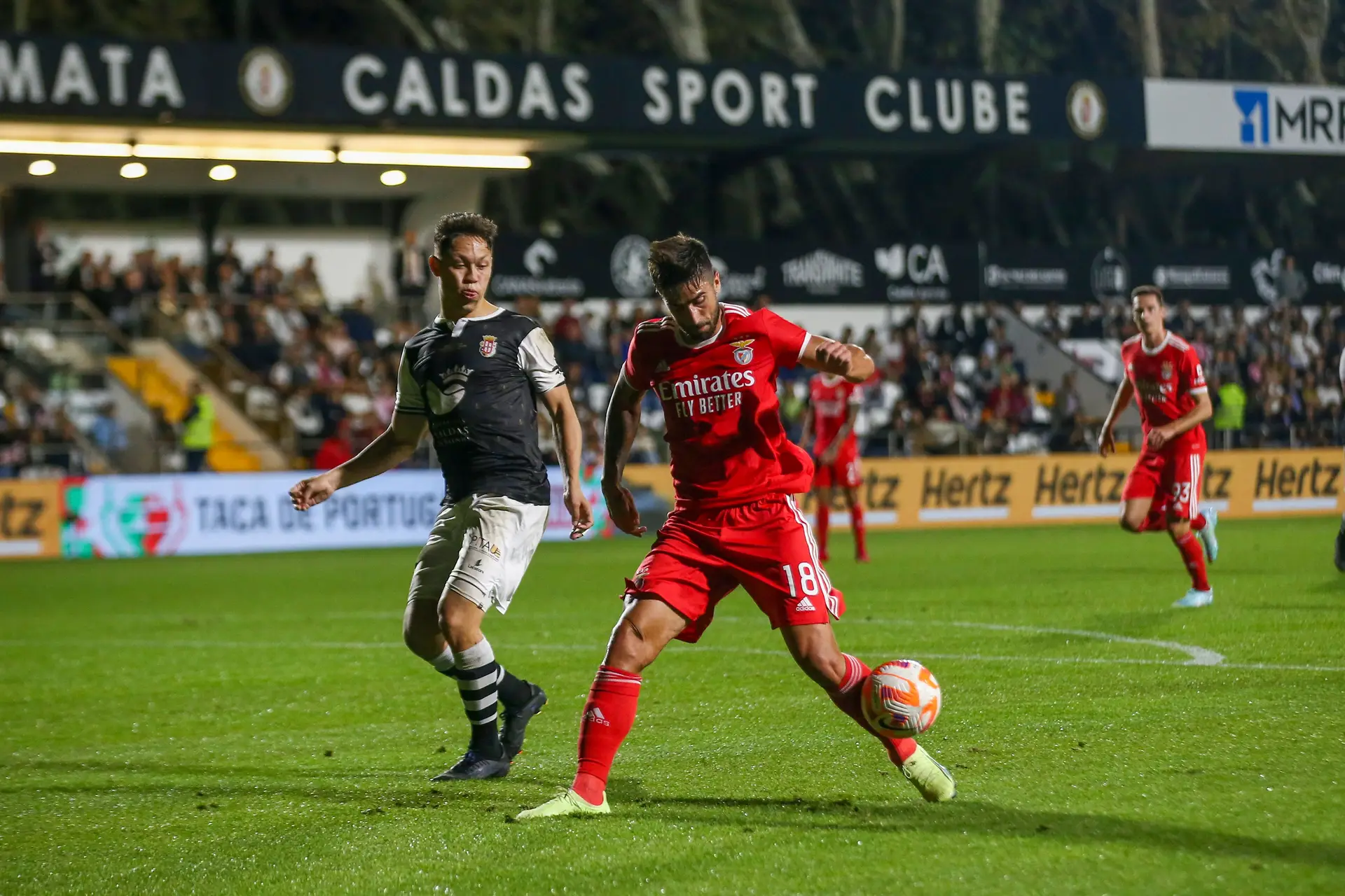 Champions: FC Porto e Sporting com jogos chave, Benfica perante  inacessível Bayern - SIC Notícias