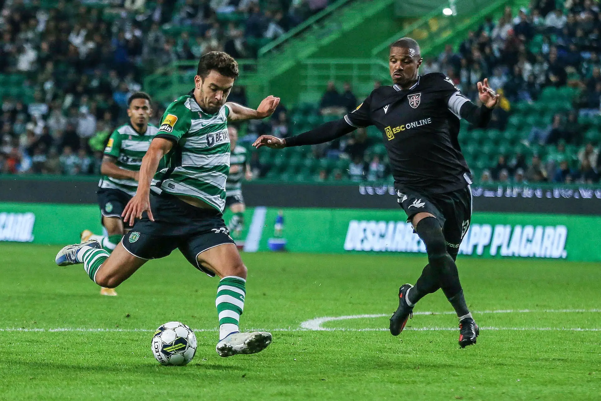 Casa Pia e Sporting dão o pontapé de saída da 2ª jornada da