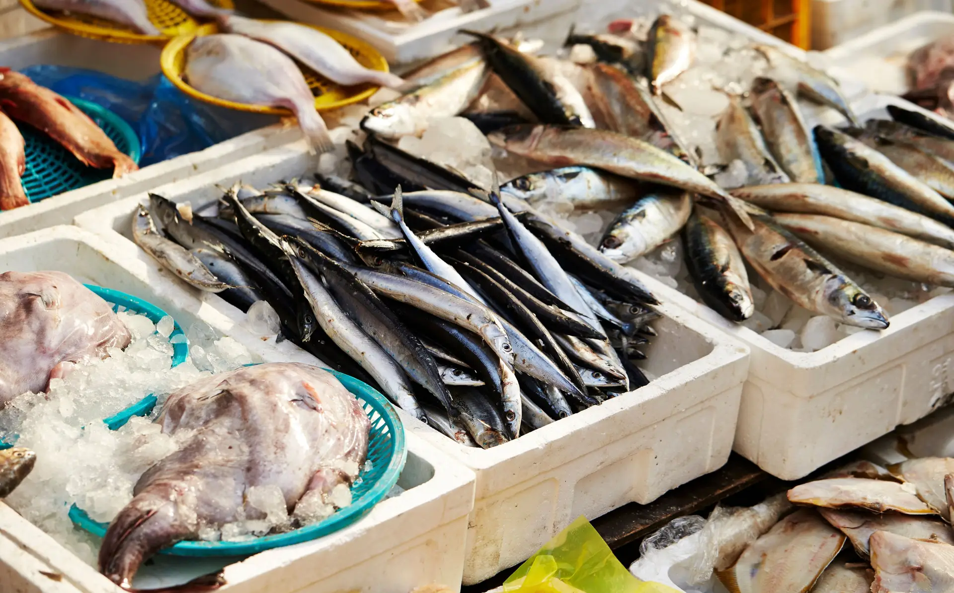 Peixe entre produtos mais caros do cabaz alimentar após constantes subidas