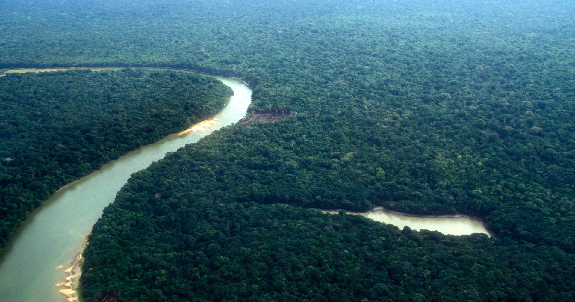 Der Oberste Bundesgerichtshof von Brasilien entscheidet über die Reaktivierung des Amazonas-Fonds