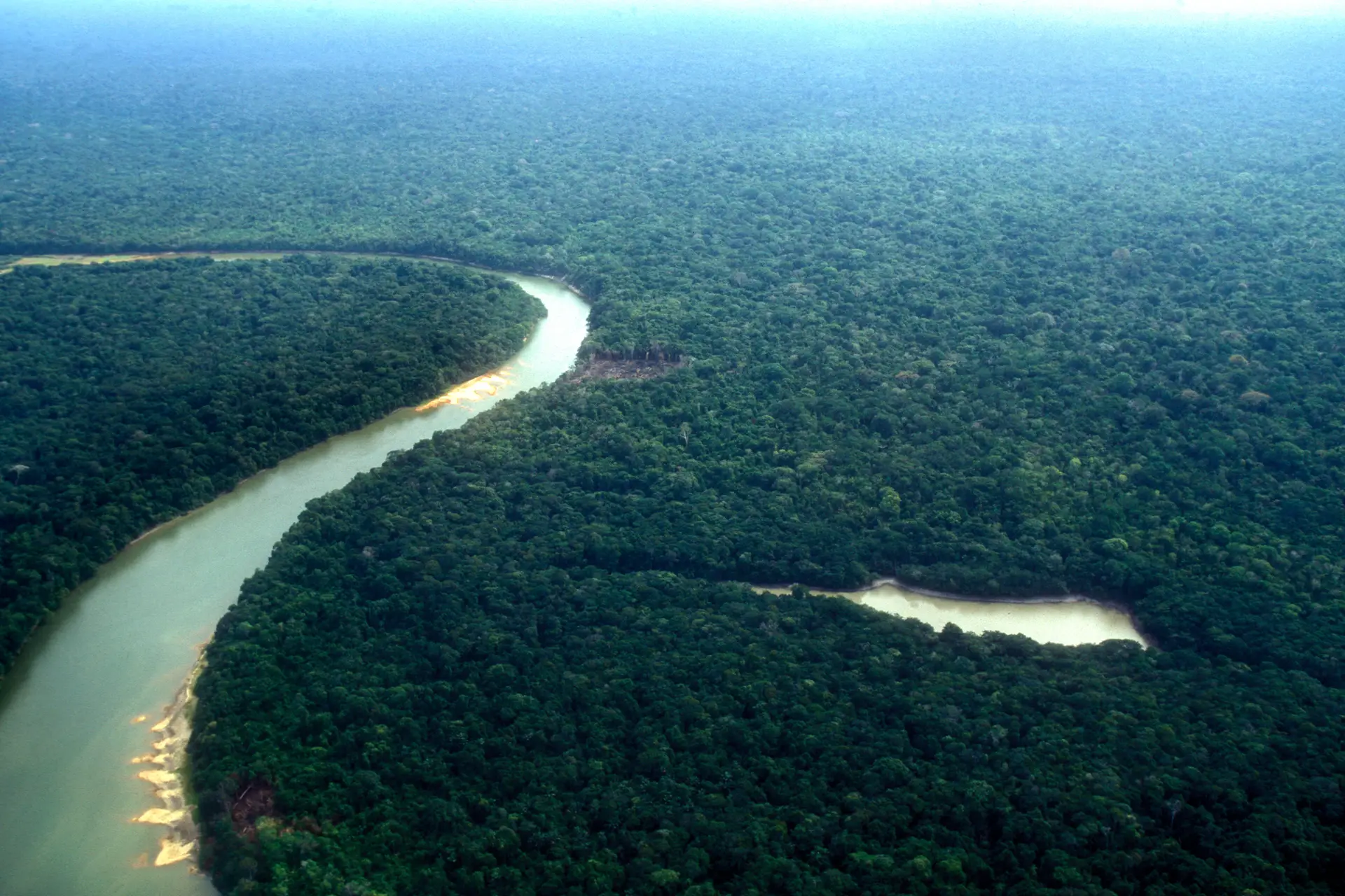 Imagem aérea da Floresta da Amazónia.