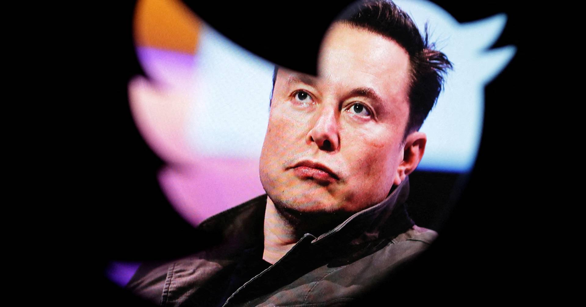 Elon Musk announces that only verified accounts will be recommended on Twitter