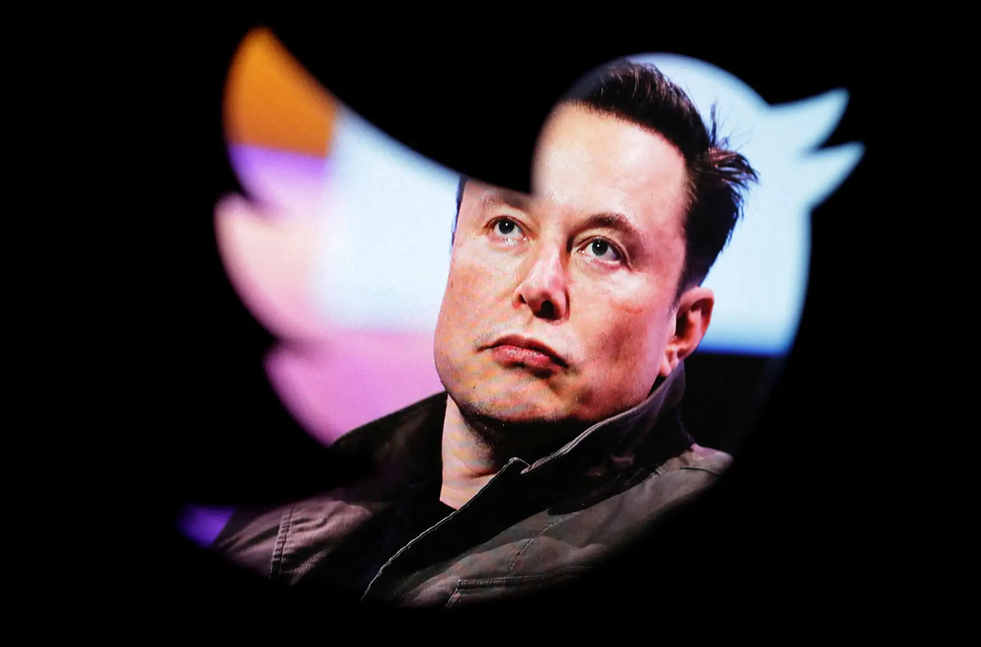 Elon Musk avalia reativação de contas suspensas no Twitter