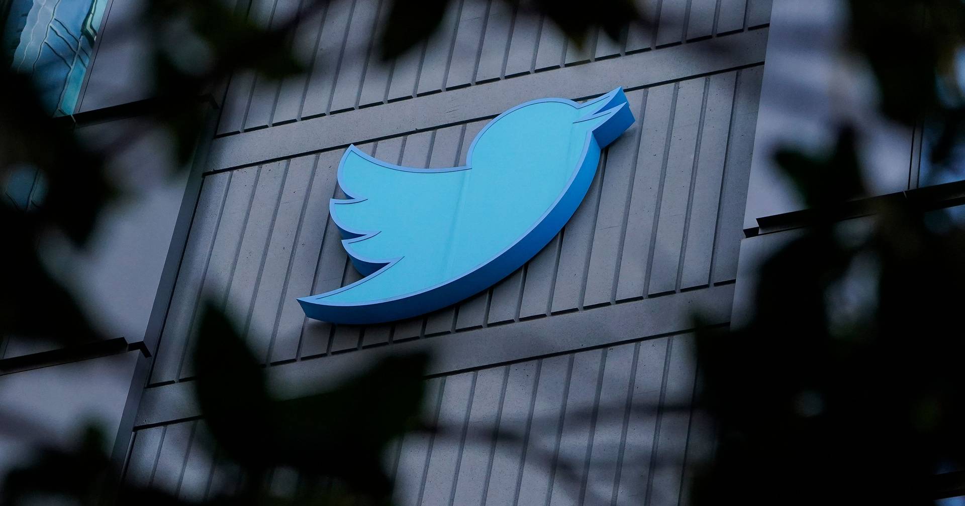 „Etwa 50 % der Mitarbeiter werden betroffen sein“ von Entlassungen auf Twitter „Etwa 50 % der Mitarbeiter werden betroffen sein“ von Entlassungen auf Twitter