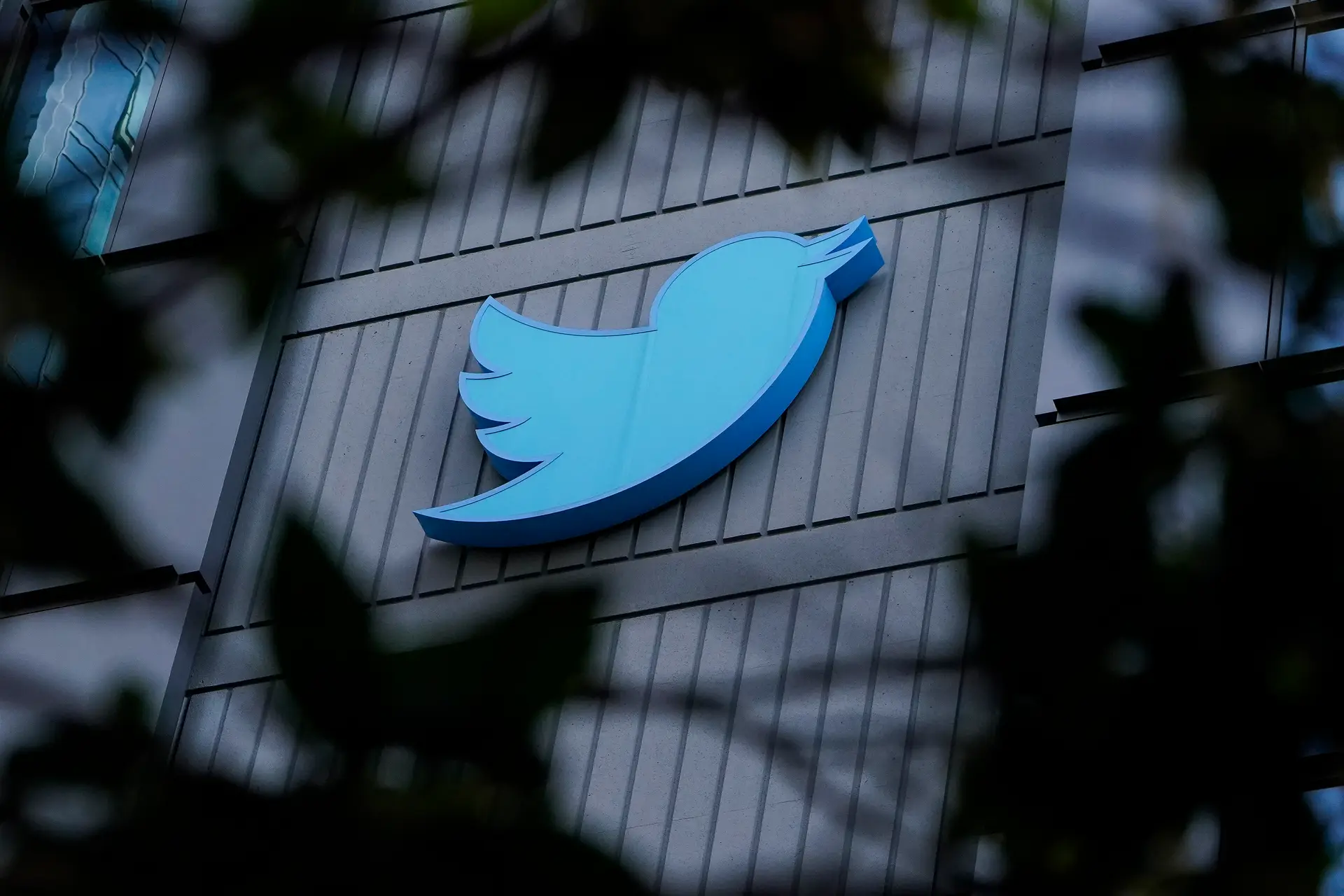 "Cerca de 50% dos funcionários serão afetados" pelos despedimentos no Twitter