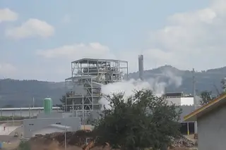Moradores do Fundão queixam-se do barulho ensurdecedor provocado pela central de biomassa
