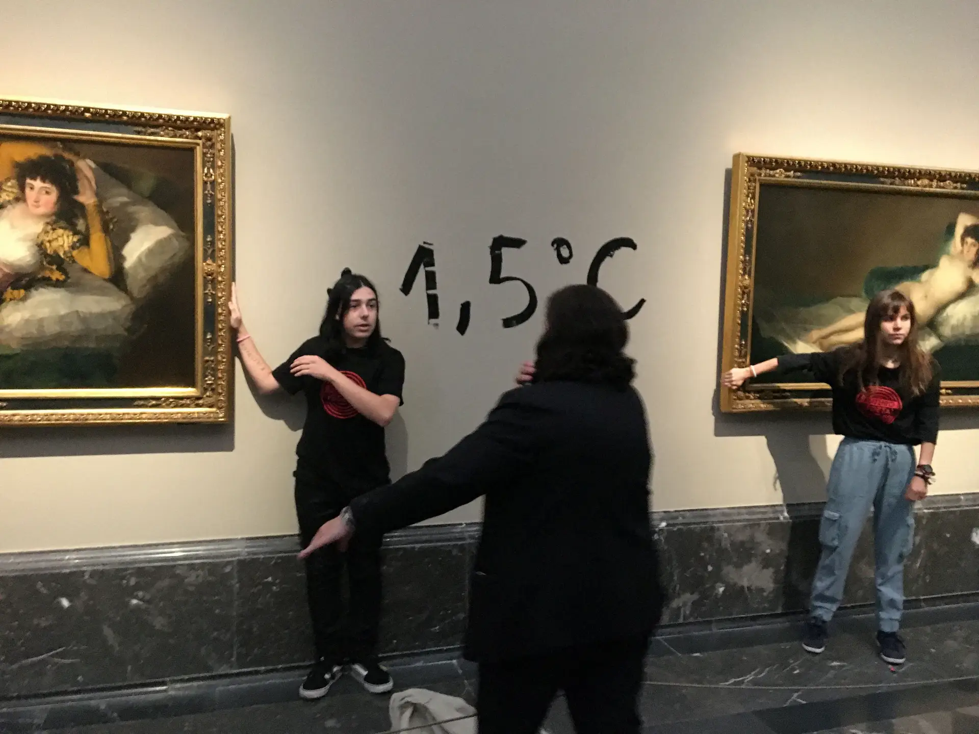 Detidos ativistas espanhóis que atacaram quadros de Goya no museu do Prado