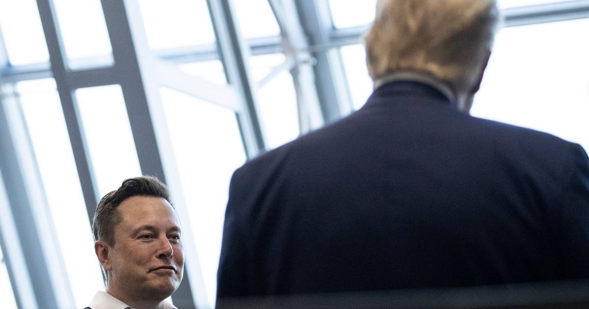 Trump pediu a Musk que examinasse o orçamento do Pentágono