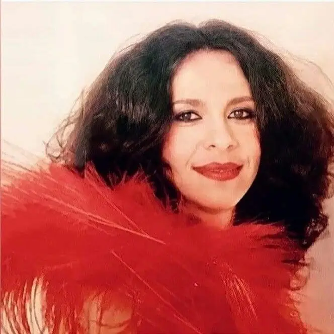 "Já com saudade", Presidente da República lembra Gal Costa