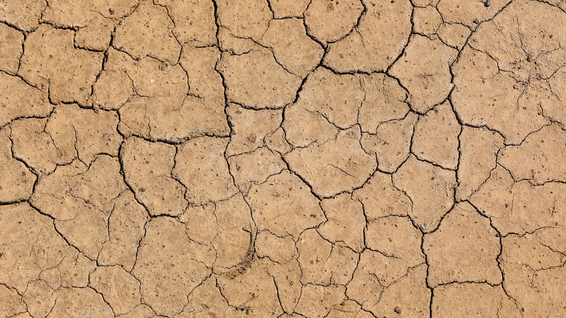 Situação de seca desagravou-se no mês "muito quente e chuvoso" de outubro